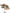 Cordset Cianotic